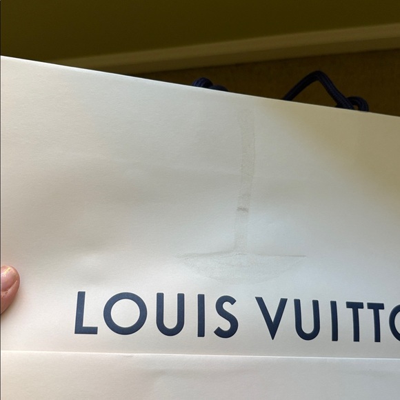 Authentic 13 1/4” x 15 3/4” Louis Vuitton Shopping Bag - Picture 2 of 9